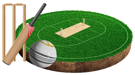 Venues and Host City -